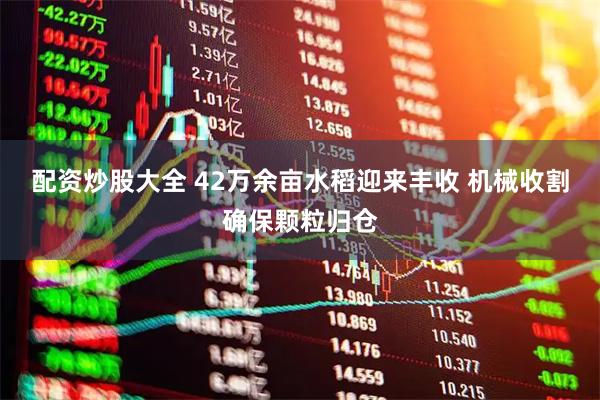 配资炒股大全 42万余亩水稻迎来丰收 机械收割确保颗粒归仓