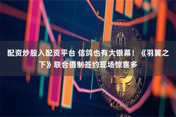 配资炒股入配资平台 信鸽也有大银幕！《羽翼之下》联合摄制签约现场惊喜多