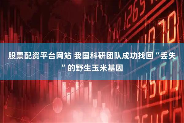 股票配资平台网站 我国科研团队成功找回“丢失”的野生玉米基因