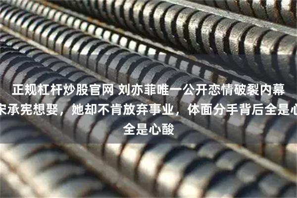 正规杠杆炒股官网 刘亦菲唯一公开恋情破裂内幕！宋承宪想娶，她却不肯放弃事业，体面分手背后全是心酸